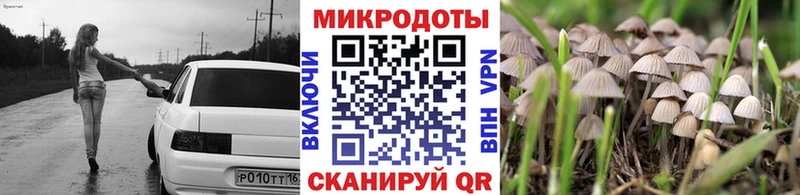Галлюциногенные грибы Psilocybine cubensis  Поворино 